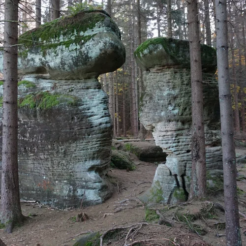 Skalne Grzyby
