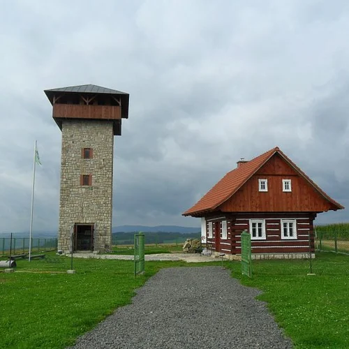 Rozhledna U borovice