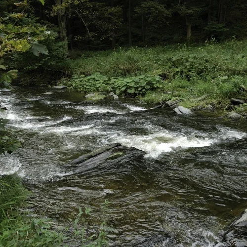 Naučná stezka Údolím Bystřice