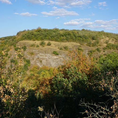 Krumlovsko-rokytenské slepence