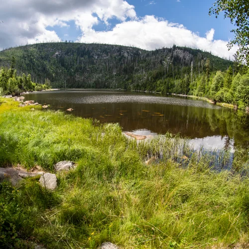 Plešné jazero