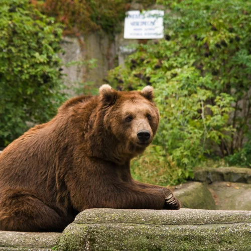 Zoo Varšava