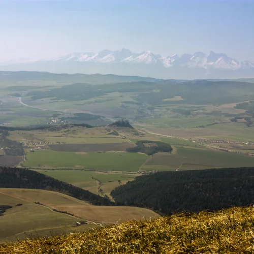 Sľubica