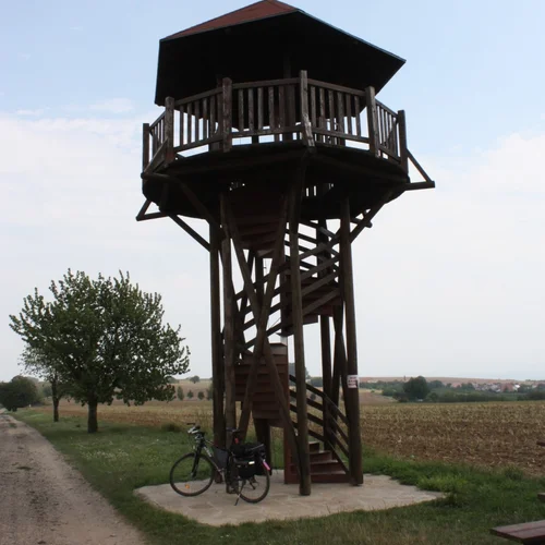 Dřevěná rozhledna Doubí