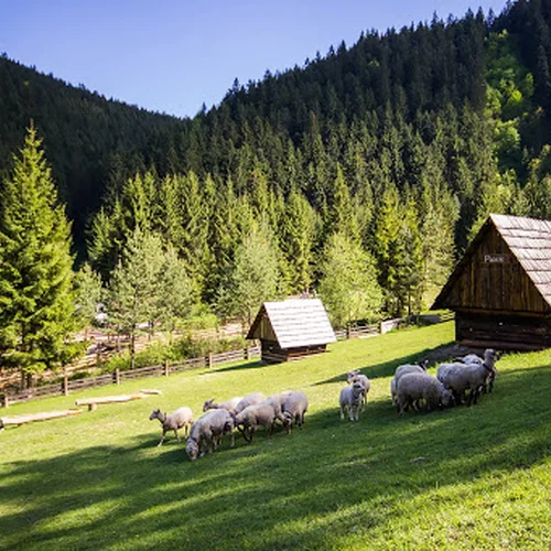 Čutkovská dolina