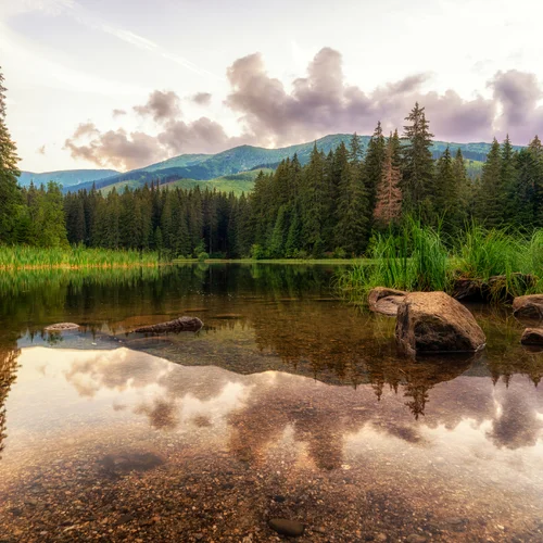 Vrbické pleso