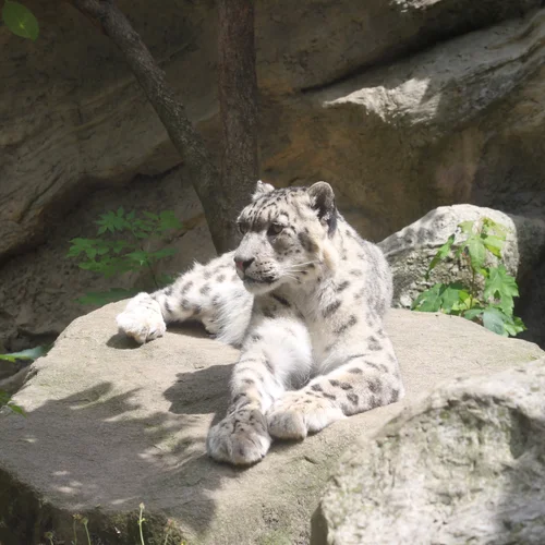 Zoo Jihlava