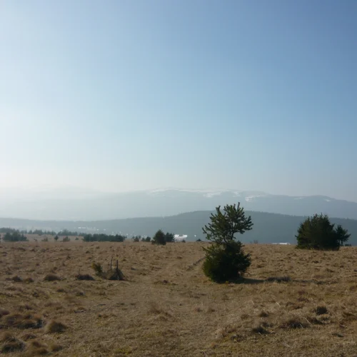 Hadí vrch nad Zhůřím