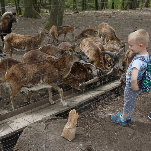 Přírodní park Geras (zoo)