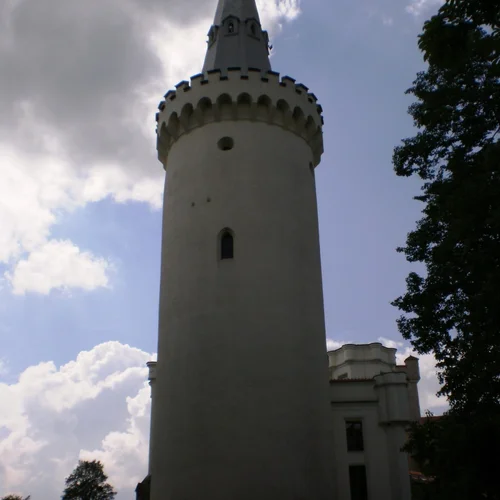 Město Bor