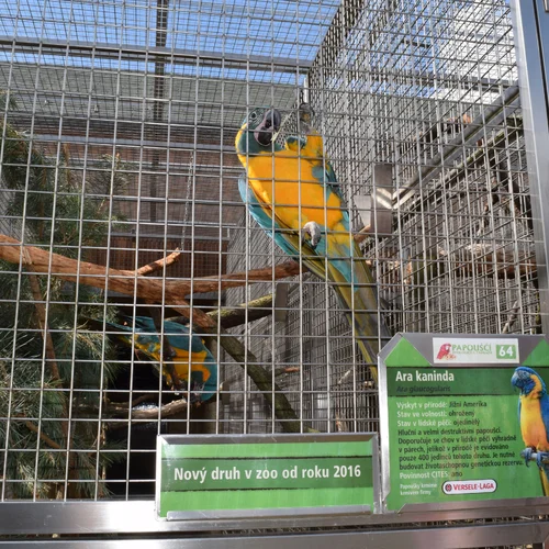 Papouščí zoo Bošovice