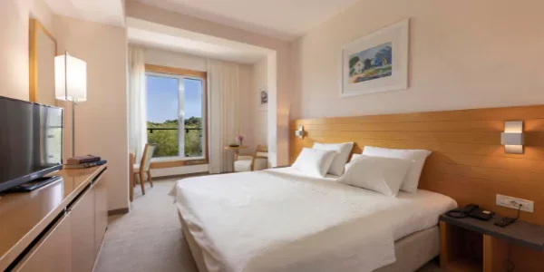 S23P Dvojlôžková izba Standard (27 m²)