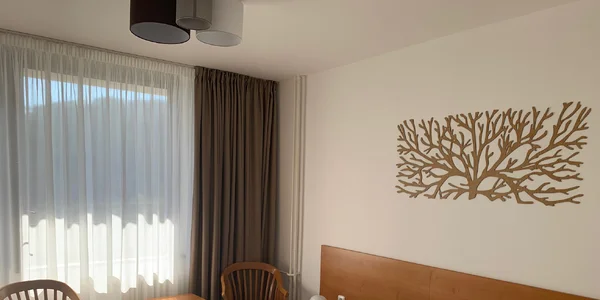 Dvojlôžková izba Standard (15 m²)