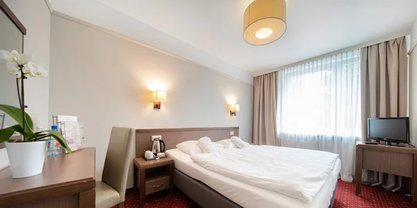 Dvojlôžková izba Standard (manželská posteľ) (17 m²)