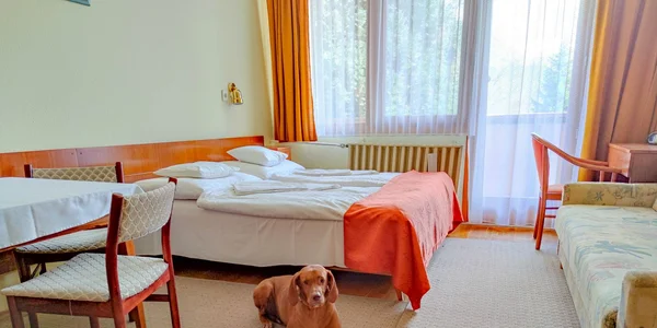 Apartman Standard s terasou (pet friendly) (26 m²)