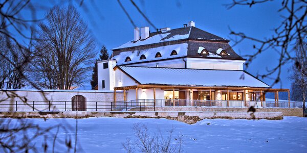 4* wellness pobyt na Vysočině 
s polopenzí