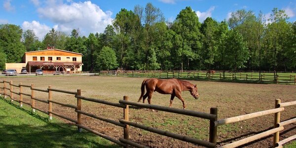 Chatky na ranči v Beskydech 
s polopenzí a wellness