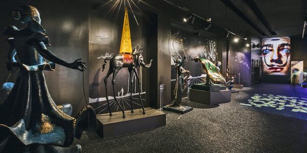 Vstupenky na výstavu Salvador 
Dalí Enigma