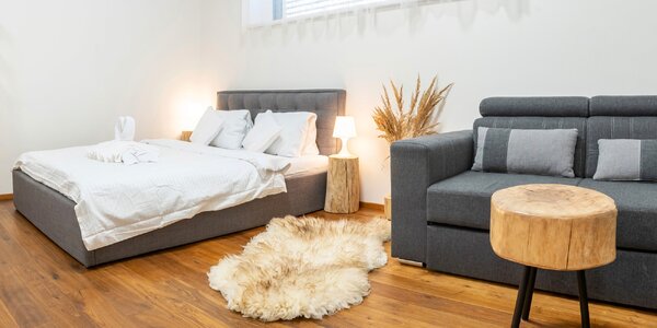 Luxusní apartmán ve Vrchlabí 
až pro 4 osoby