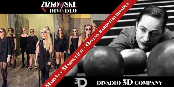 Maryša ve 31 minutách 
a Ozvěny barového divadla