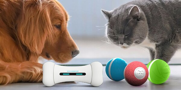 Zábava pro kočky i psy: 
chytrý míček či kost