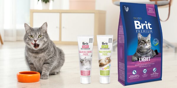 Kočičí pasty nebo granule 
české značky Brit