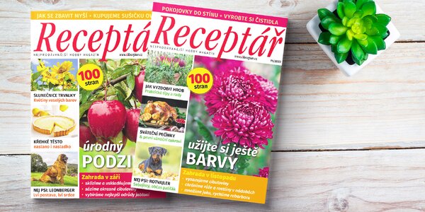 Roční předplatné hobby 
časopisu Receptář