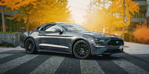 20–50 km v supervýkonném 
Mustangu GT 5.0 V8