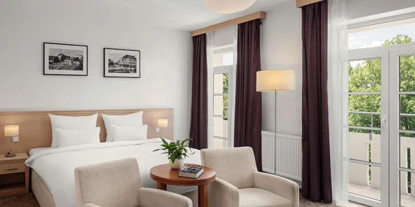 Deluxe Room s výhledem do parku (30–34 m²)