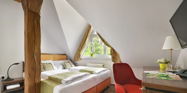 Double Comfort Room 2+0