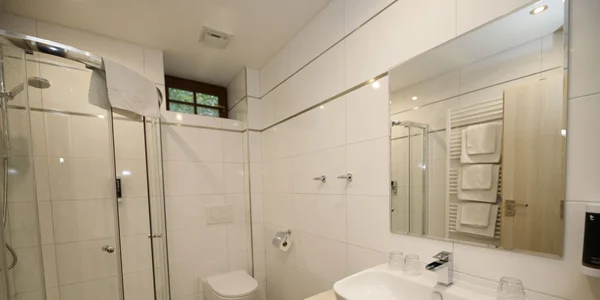 Dvoulůžkový pokoj Elegant s přistýlkami