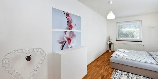 Apartmán 100