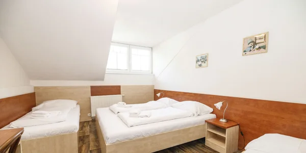 Trojlôžková izba Standard (20 m²)