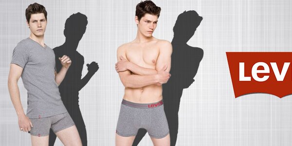 Pánské spodní prádlo, ponožky a trička Levi's