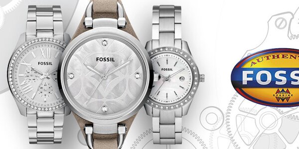Jedinečné dámské hodinky a šperky Fossil