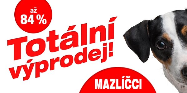 Likvidace zásob: Vše pro chlupaté kamarády