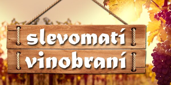 Nabídky, které voní vínem!