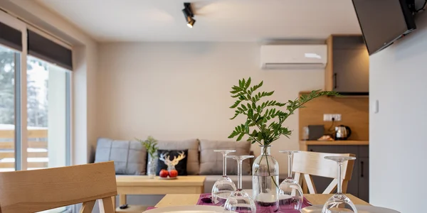 Apartmán č.1 (30 m²)