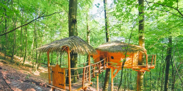 Treehouse I (15 m²)
