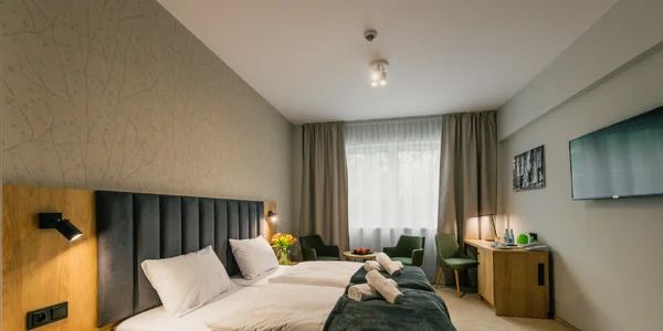Dvoulůžkový pokoj s manželskou postelí nebo oddělenými postelemi (30 m²)