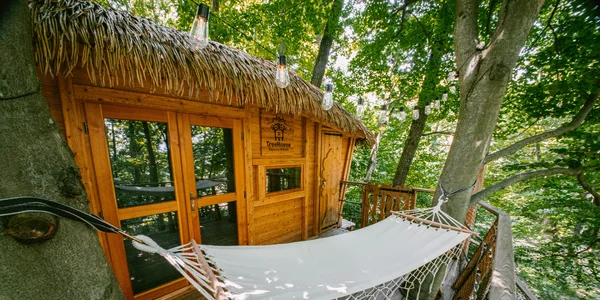 TreeHouse BEBEK