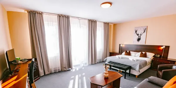Studio Superior (38 m²)
