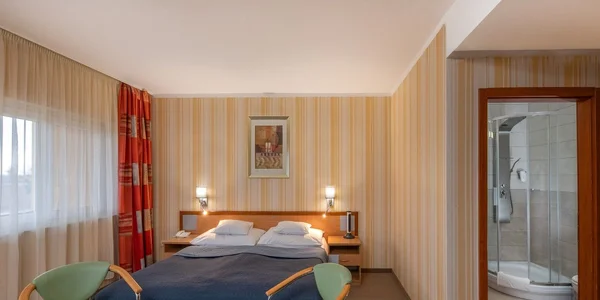 Pokoj Superior s terasou (30 m²)