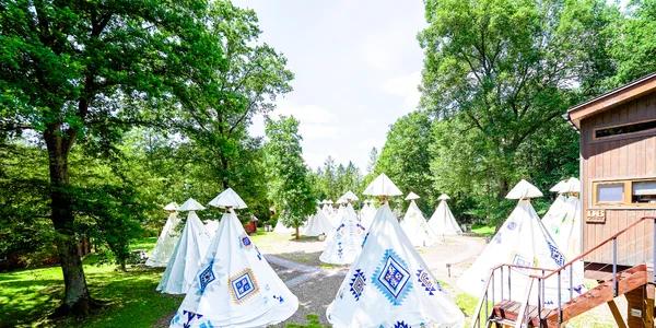 Stan Tipi