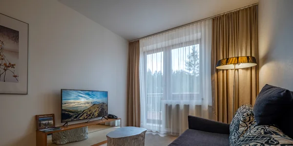 Jednoizbový apartmán Deluxe (45 m²)