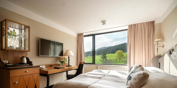 Deluxe Queen Room (20 m²)