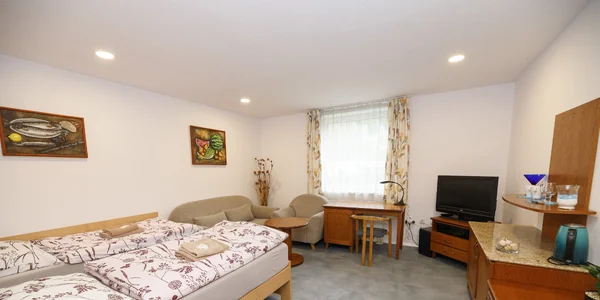 Apartmán č. 2 (48 m²)