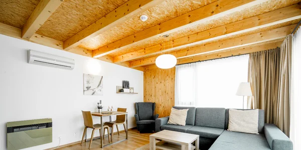 Apartmán s 1 ložnicí (45 m²)