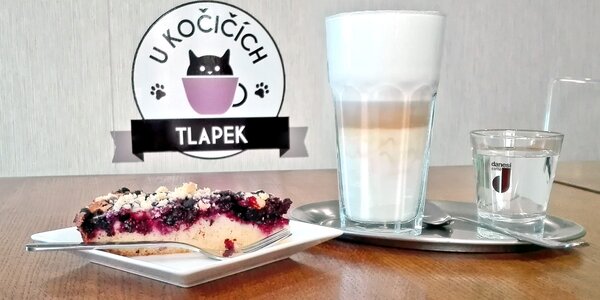 Nápoj a domácí dortík 
v kladenské kočičí kavárně