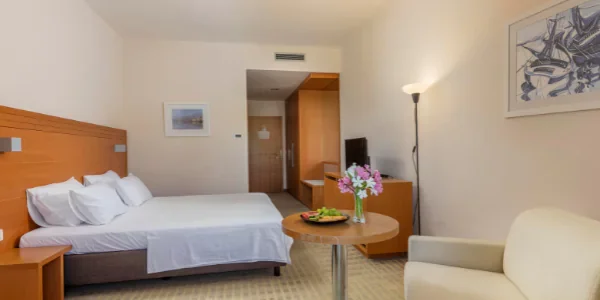 Standard family room (31 m²)